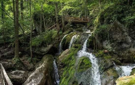 Myra Falls