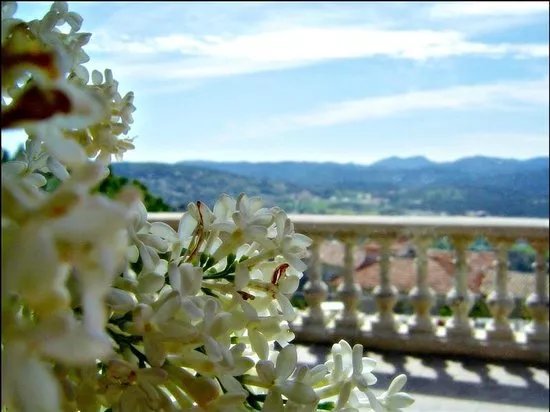 Bureau d'Information Touristique de Montauroux