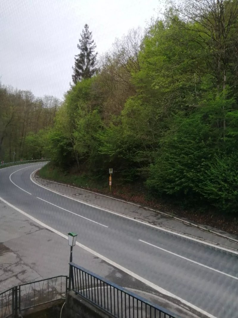Waldhotel Lemberg