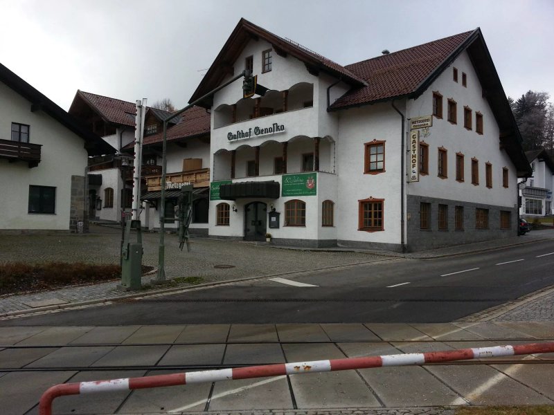 Genosko