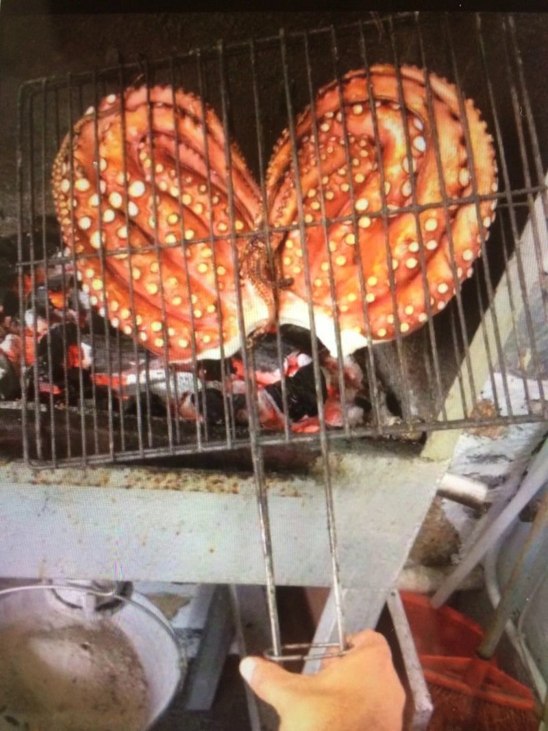 Tzitzikas
