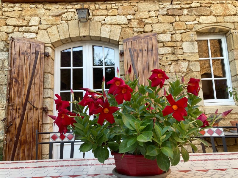 Les Petits Cousins Du Québec B&B en France