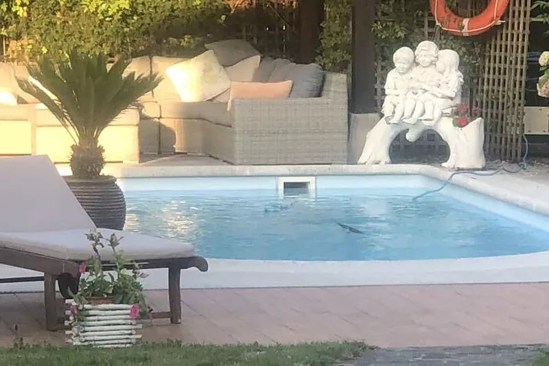 Beautiful villa in meluerda with pool