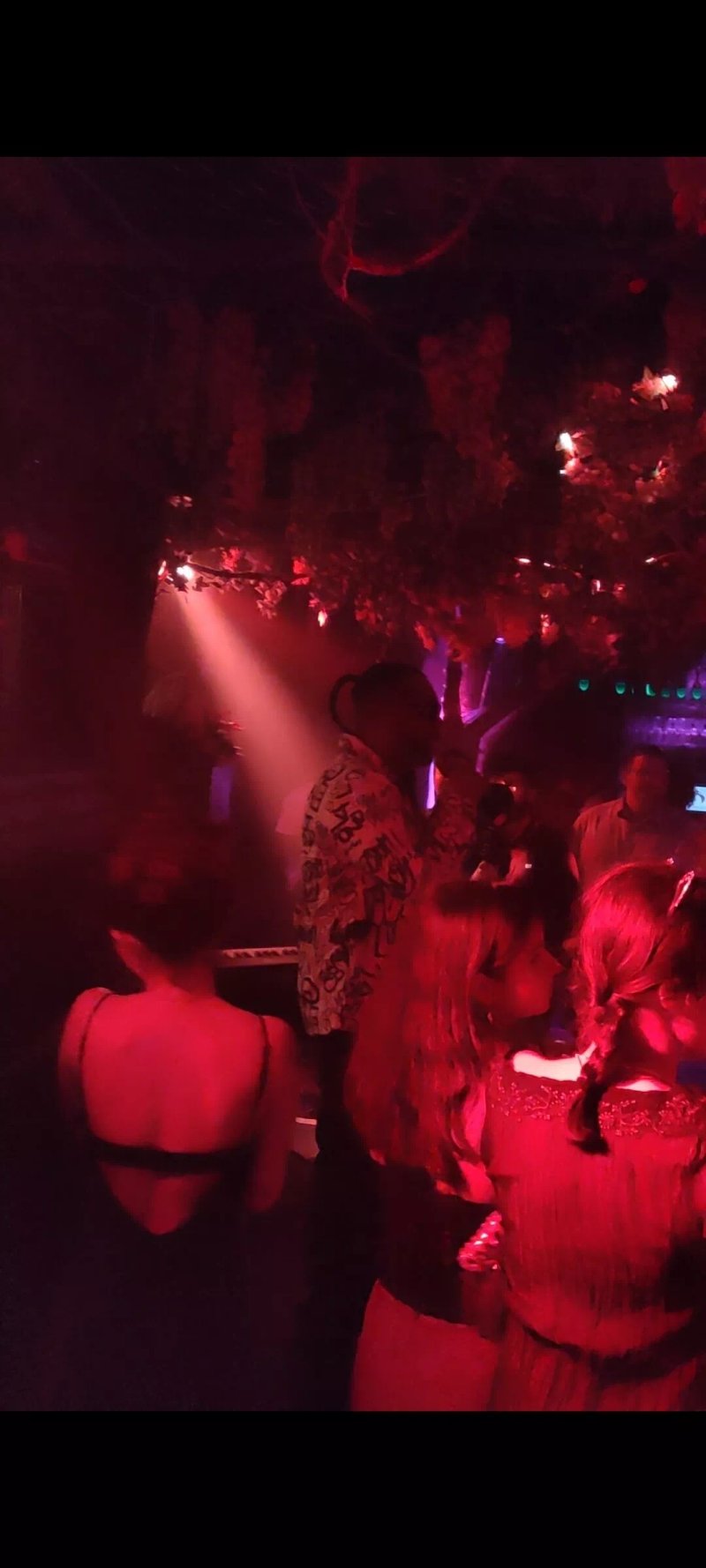 The Cuckoo Club