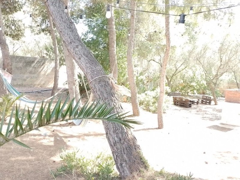 La Casa Nella Pineta - Gallipoli