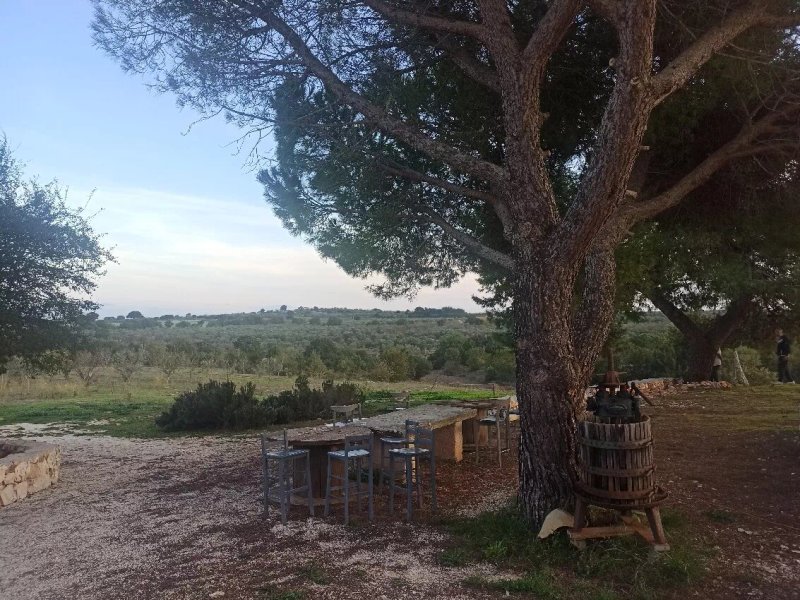 Agriturismo Tenuta del Grillaio