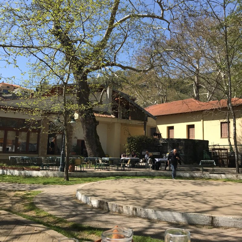 Oasi Taverna