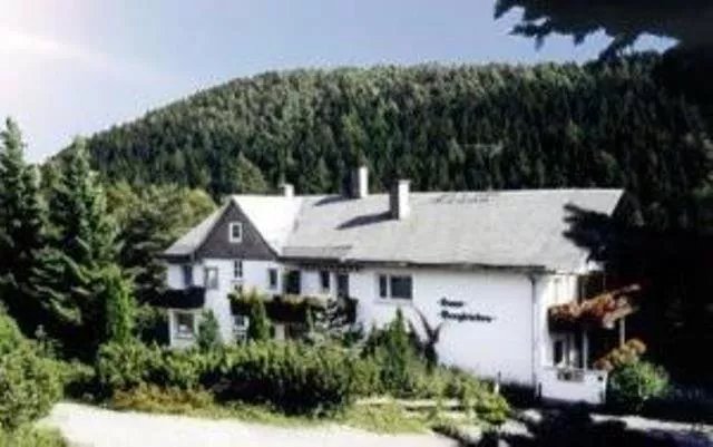 Berghotel-Willingen