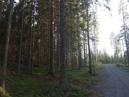 Parks & Nature