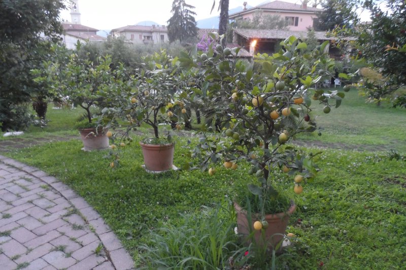Hotel Belvedere