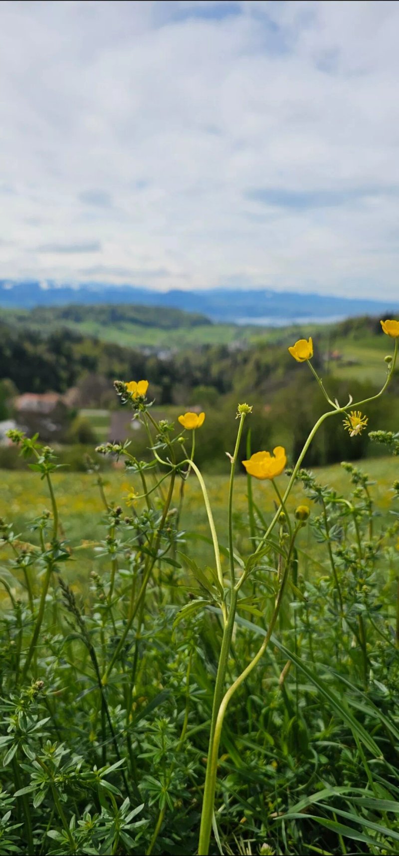 Gasthof Sunnebad