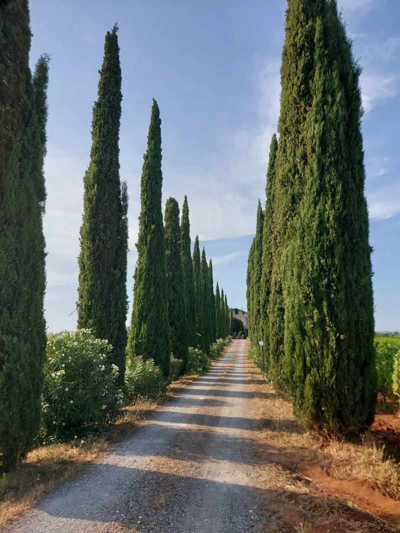 Agriturismo La Sassetta