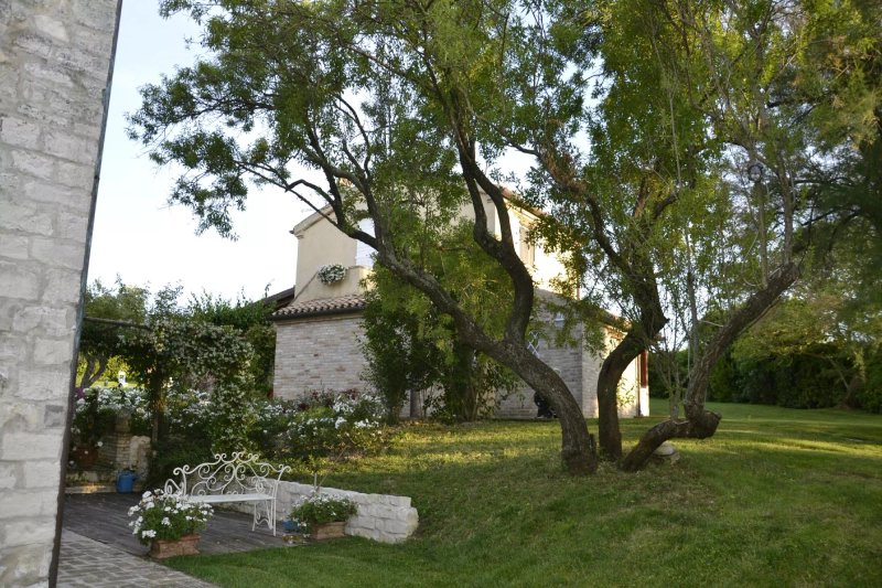 Il Concio