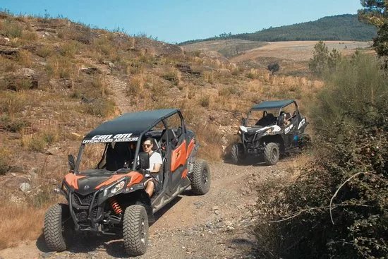 Can-Am Douro Tours