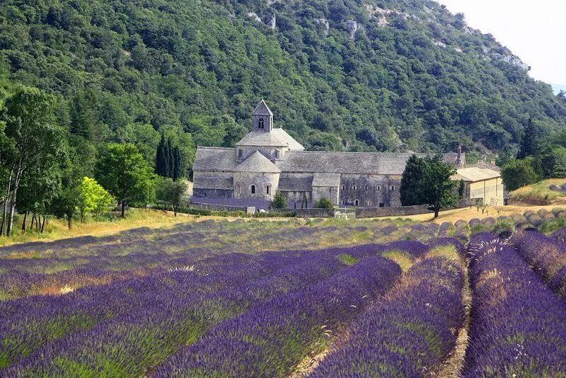 Charming village cottage renovated with taste at the heart of the Vaucluse