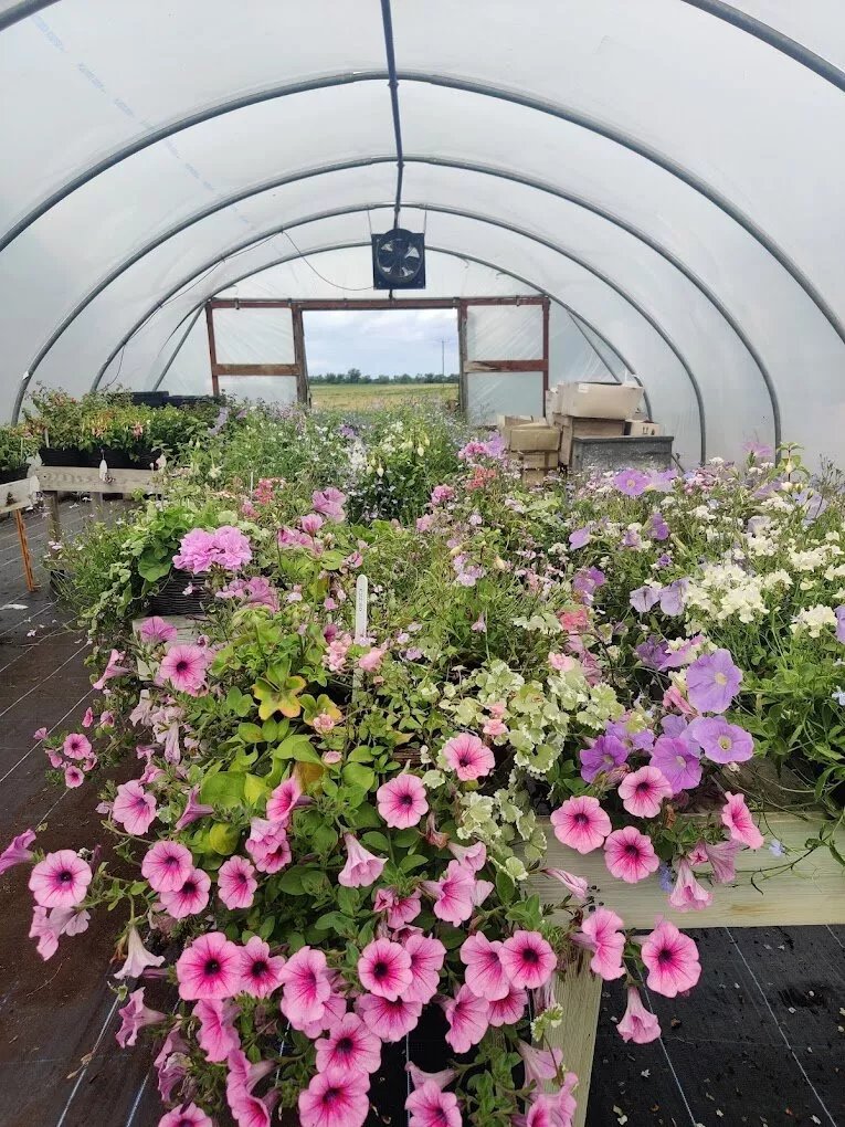 Seed Farm Shop