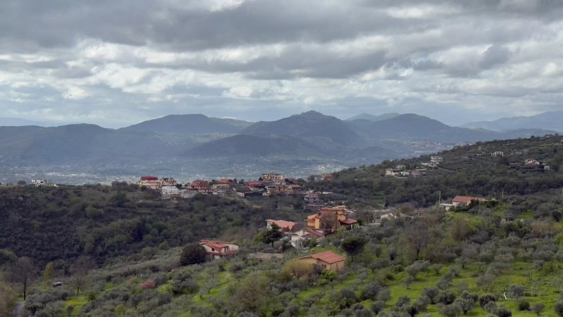 Bed & Breakfast Il Pioppo