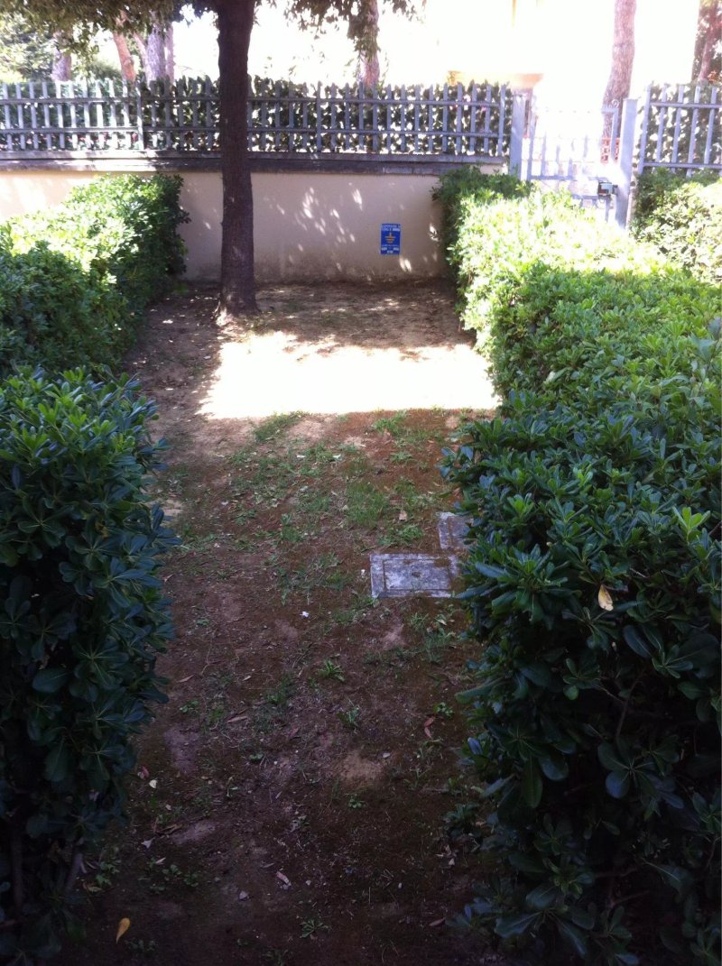 Residence Mietta e I Pungenti