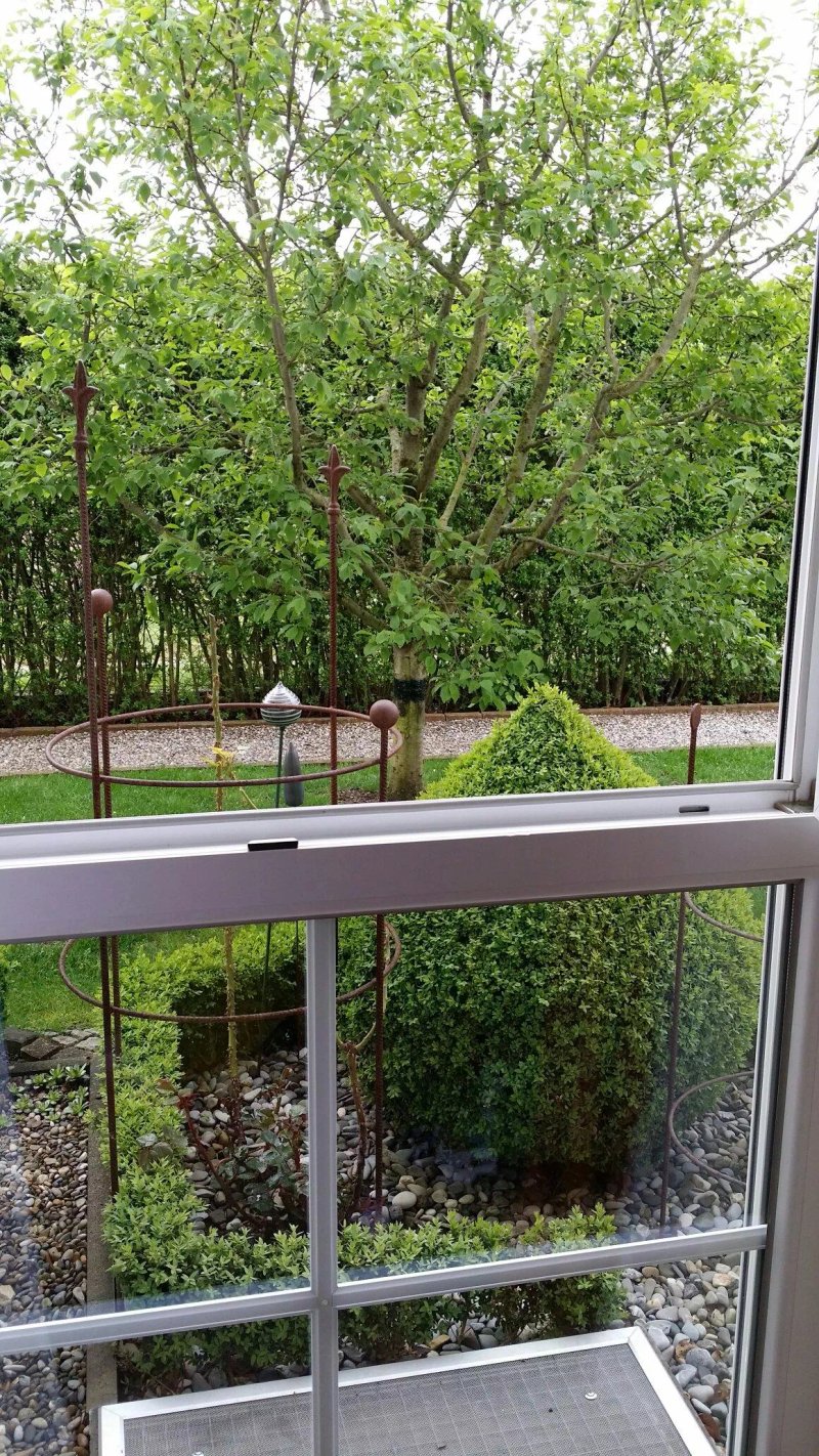 Hotel Heike garni