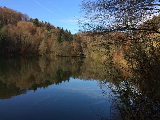 l'Arboretum du Vallon de l'Aubonne