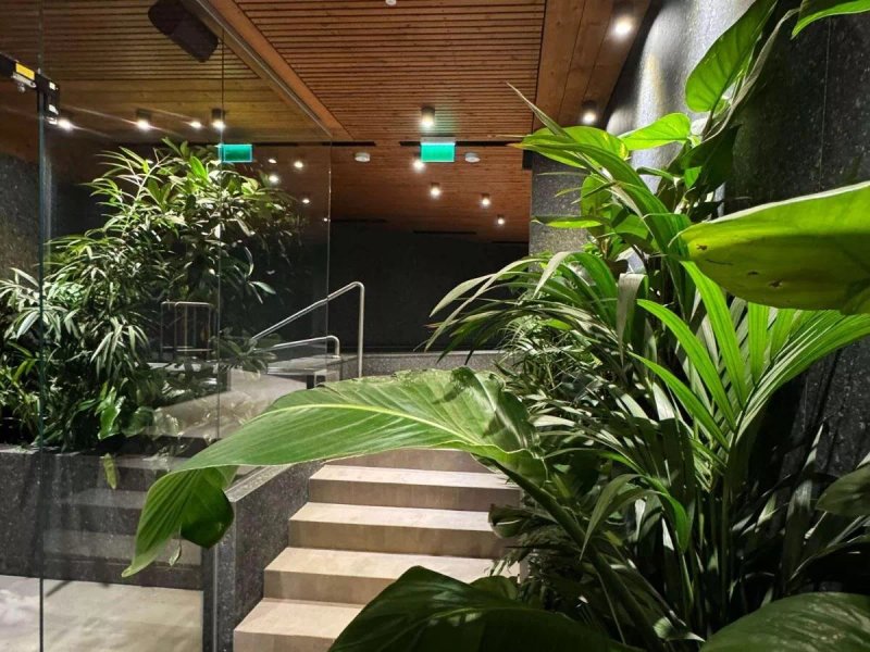 Swissotel Poiana Brașov