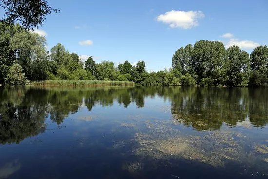 Langford Lakes Nature Reserve