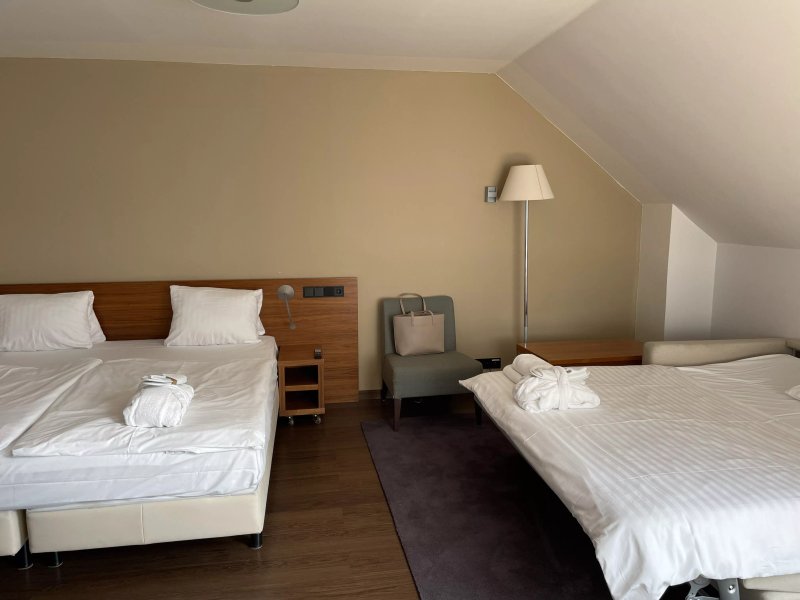 Hotel Carol