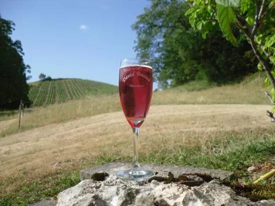 Vins Daniel Boccard