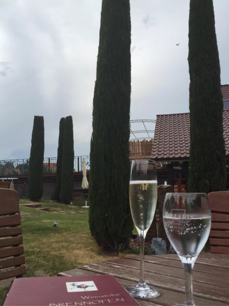 Weindomizil Brennofen