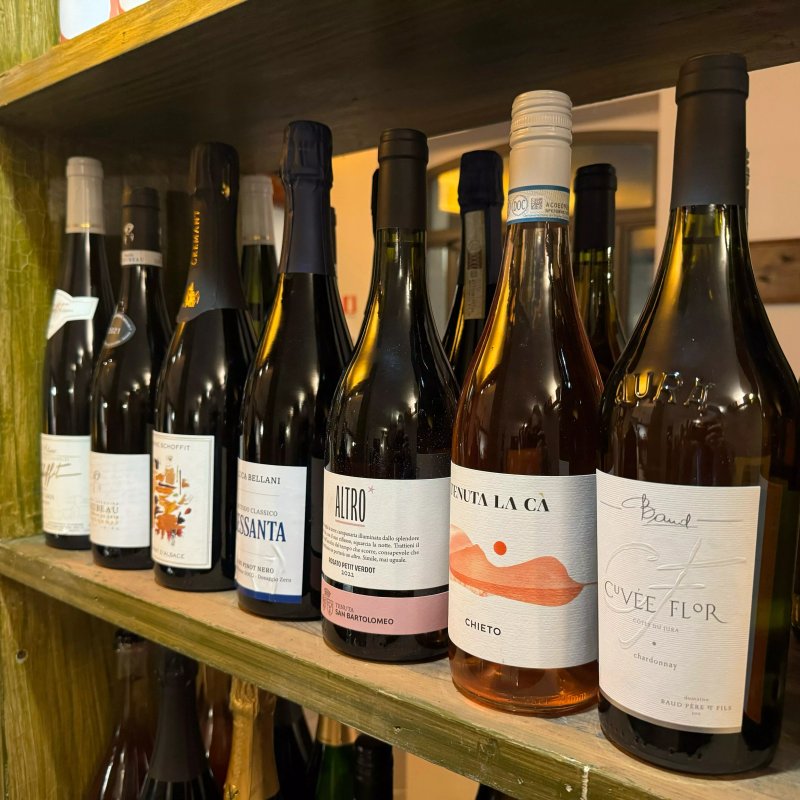 Vinodila Vinosteria