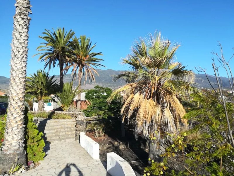 Casas Las Dos Palmeras