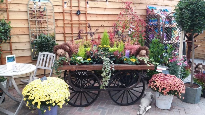 The Barn Garden Centre & Cafe