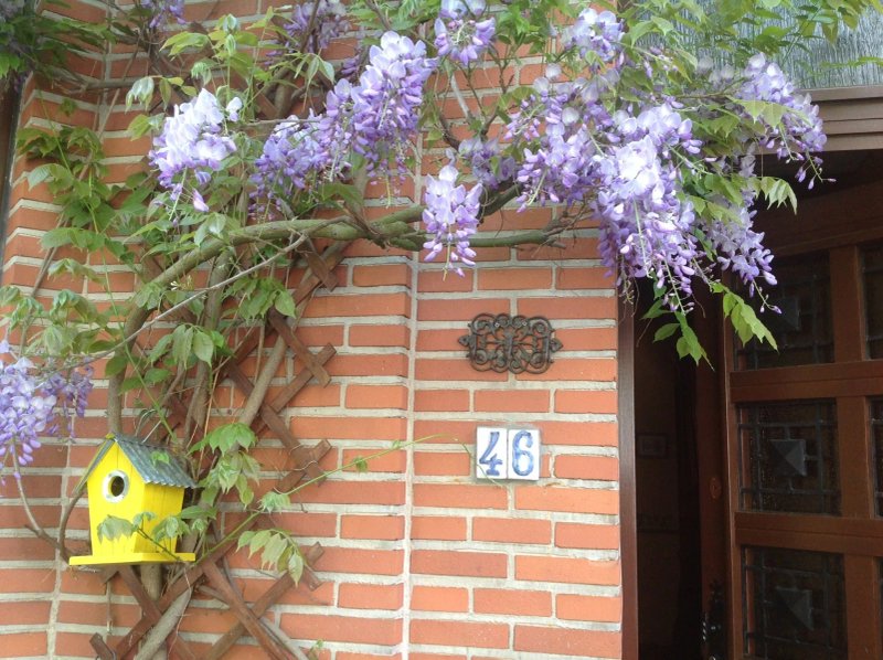 B&B Marianne