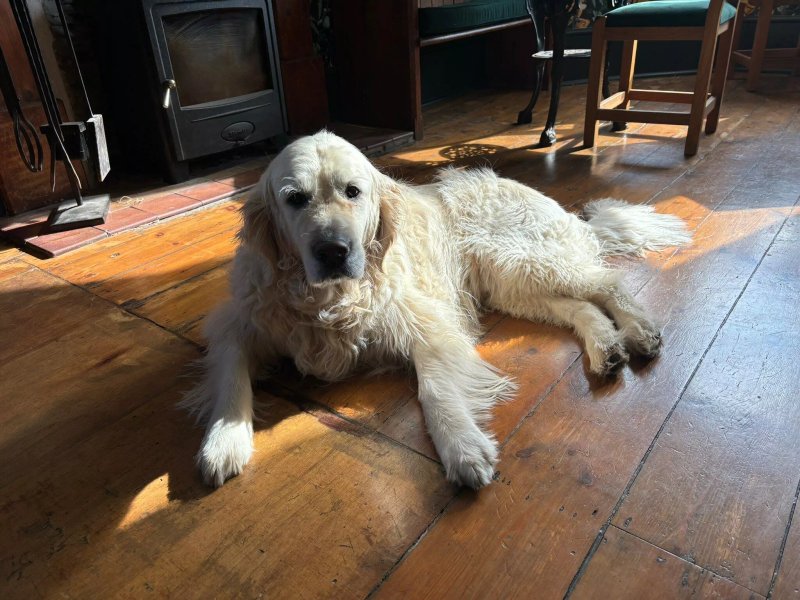 The Smugglers Rest ~ Mortehoe Restaurant