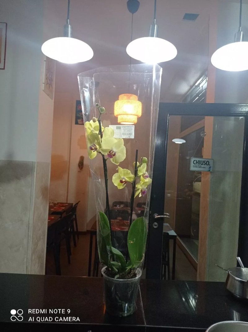 Cityfood Catania