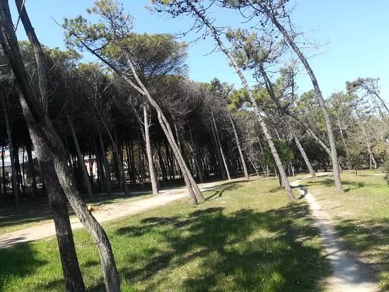 Pineta di Pinarella e Tagliata