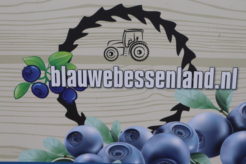 Blauwebessenland