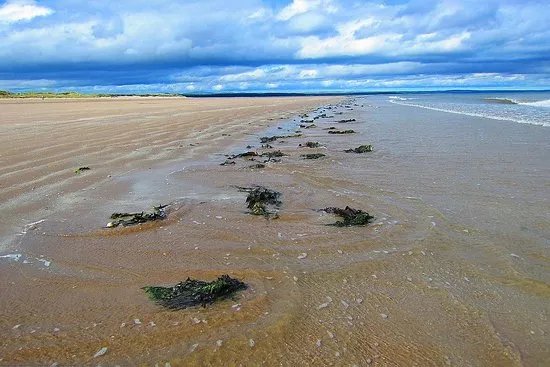 St Andrews West Sands Beach