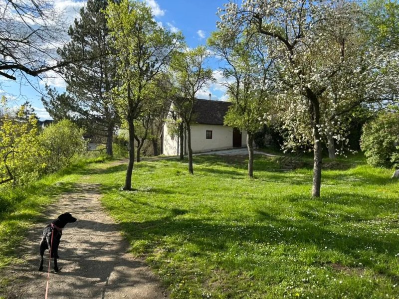 Hotel Schloss Drosendorf