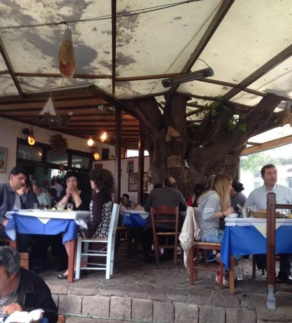Mirivili's Mulberry Scamnia Cafe-Restaurant