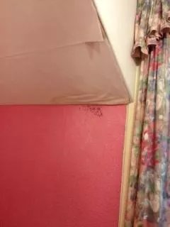 Ivy Guest House
