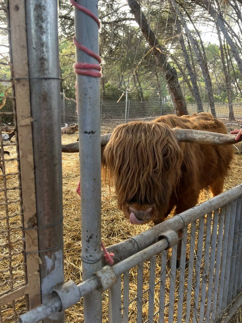 Il Piccolo Ranch