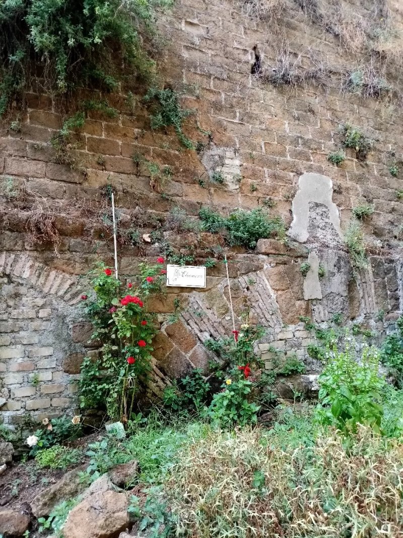 Giardino del Cedro