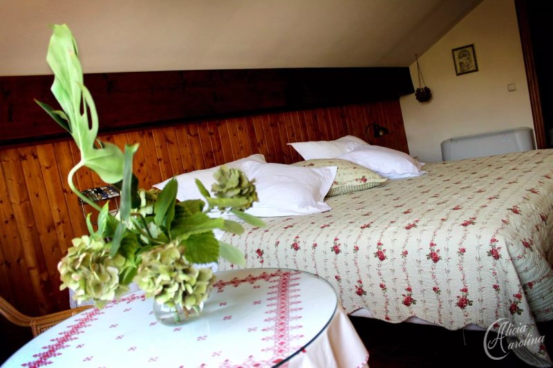Hotel Boutique Alicia Carolina