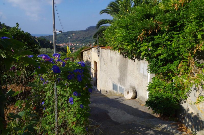 Agriturismo Barilaro