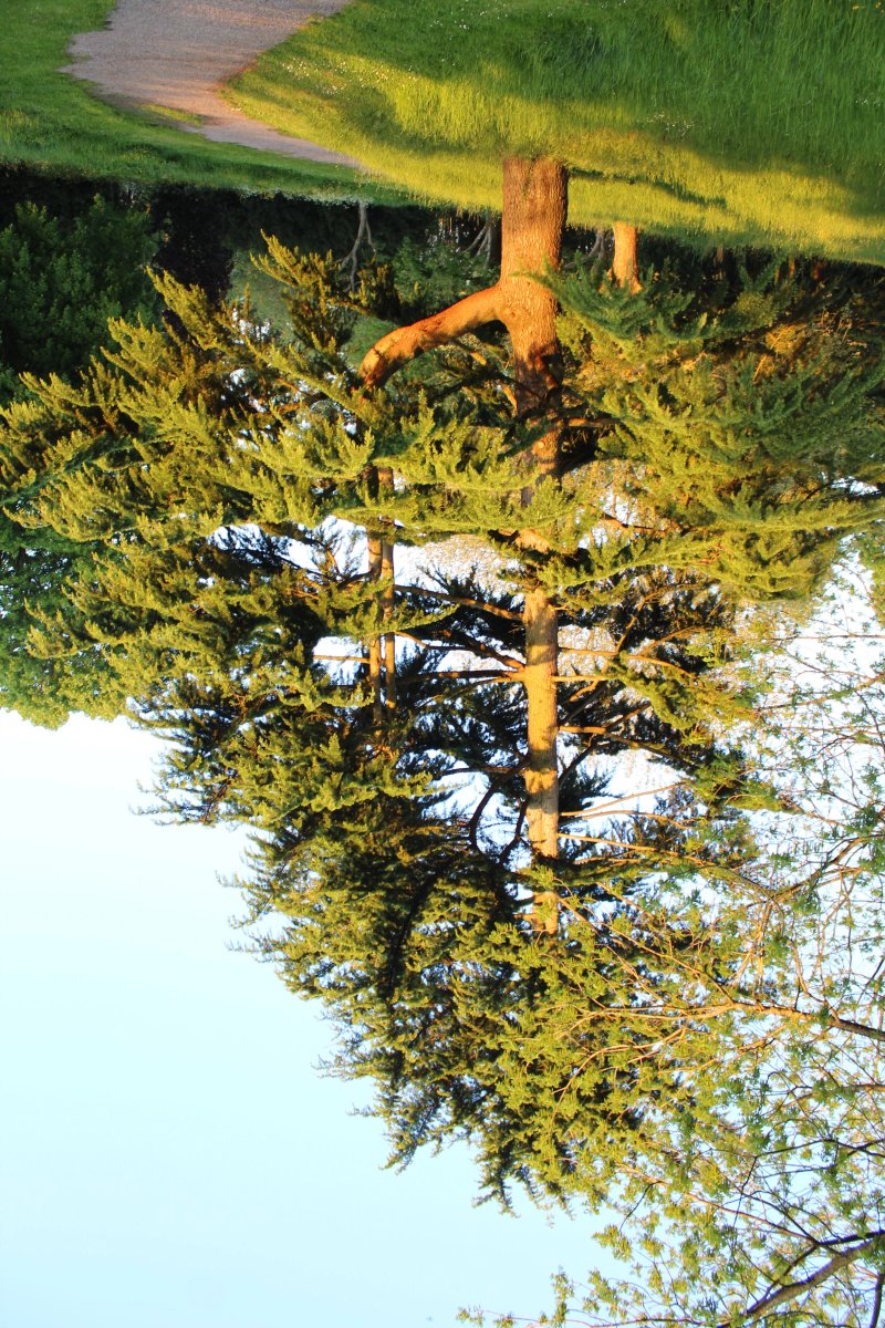 Arboretum de Lisieux