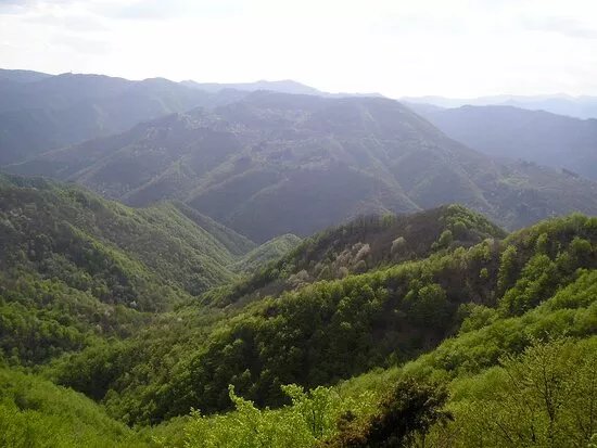 Parco della Carigiola