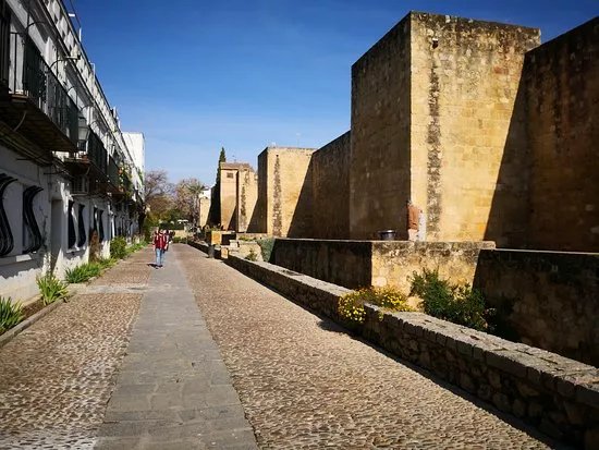 Fundacion Mezquita de Sevilla