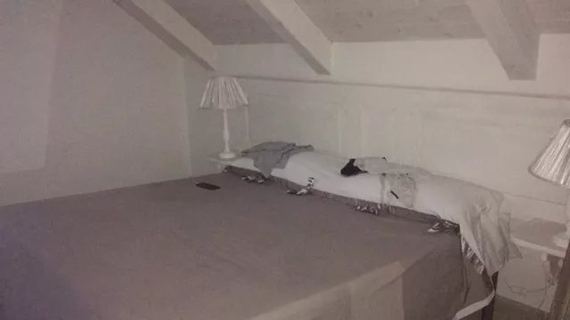Domus Alba B&B