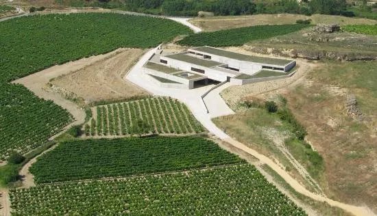 Bodega Contador
